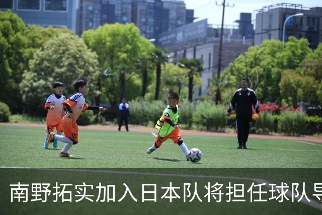 南野拓实加入日本队将担任球队导师 已随队开始训练